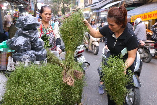 Mùi già xuống phố sớm gọi Tết về ảnh 3