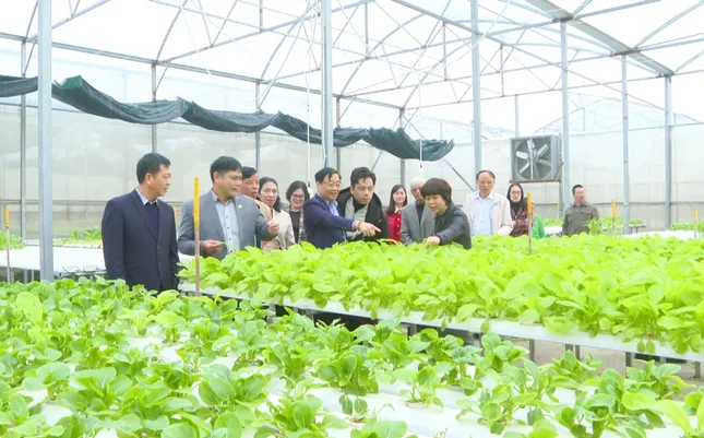 Hà Nội hoàn thành nhiệm vụ xây dựng nông thôn mới ảnh 2