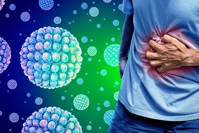 Sự thật về loại virus gây bệnh cực kỳ dễ lây lan trên tàu du lịch ảnh 2