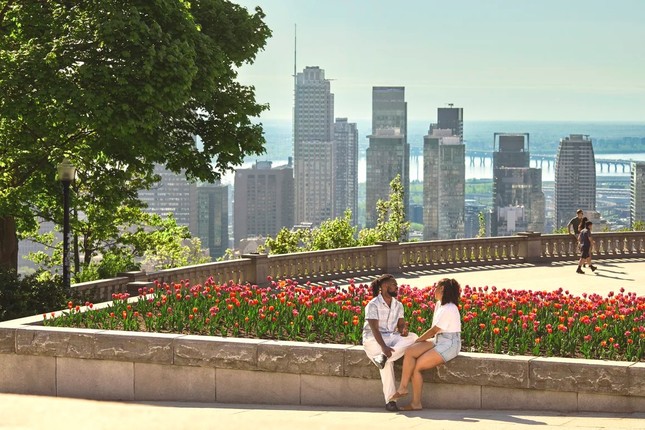 Bất ngờ cách người Canada chào đón du khách Mỹ ảnh 2