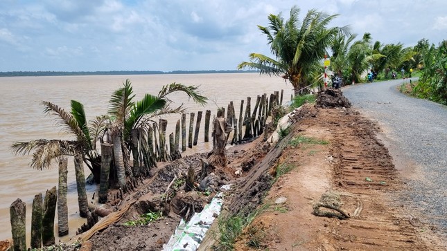Trà Vinh khẩn cấp xây hai công trình khắc phục sạt lở ảnh 1