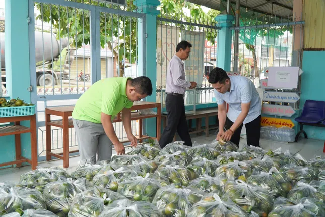Nhiều loại trái cây rớt giá &apos;không lối thoát&apos; ảnh 3