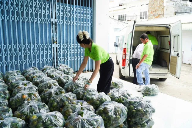 Nhiều loại trái cây rớt giá &apos;không lối thoát&apos; ảnh 1