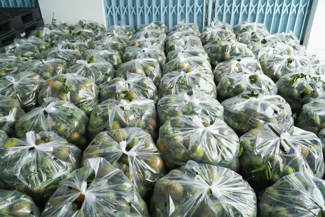 Nhiều loại trái cây rớt giá &apos;không lối thoát&apos; ảnh 2