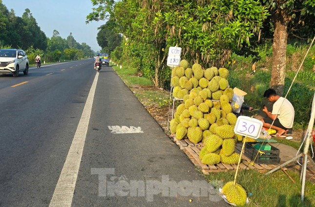 Sầu riêng ‘rẻ như bèo’ bán đầy đường ảnh 1