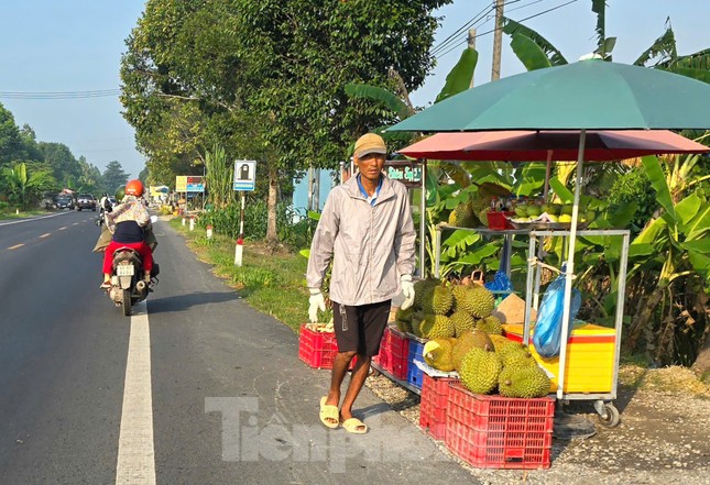 Sầu riêng ‘rẻ như bèo’ bán đầy đường ảnh 2