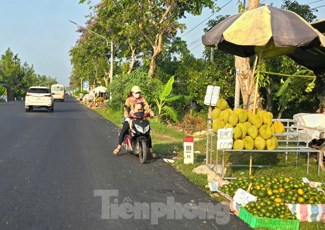 Sầu riêng ‘rẻ như bèo’ bán đầy đường ảnh 4