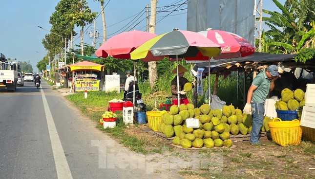 Sầu riêng ‘rẻ như bèo’ bán đầy đường ảnh 11