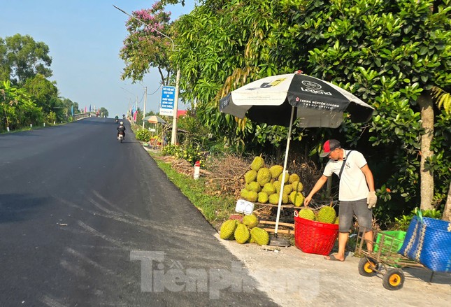 Sầu riêng ‘rẻ như bèo’ bán đầy đường ảnh 3