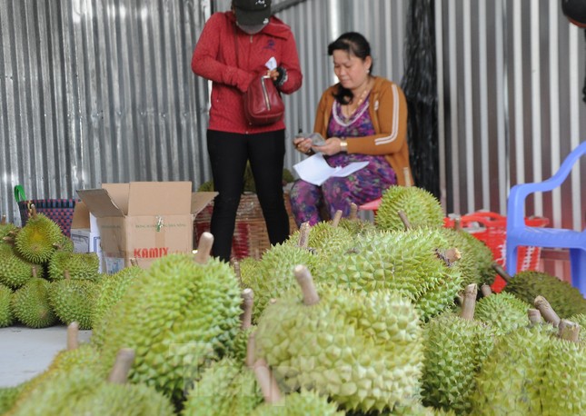 Sầu riêng ‘rẻ như bèo’ bán đầy đường ảnh 9