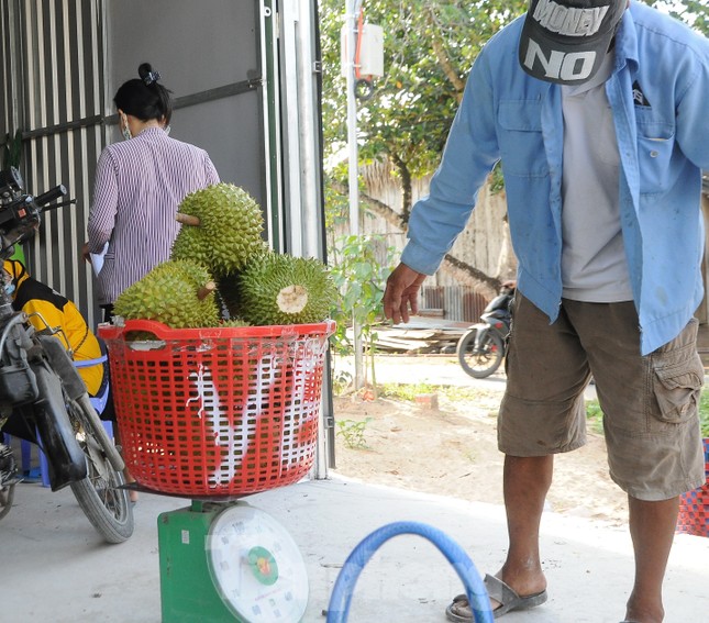 Sầu riêng ‘rẻ như bèo’ bán đầy đường ảnh 8