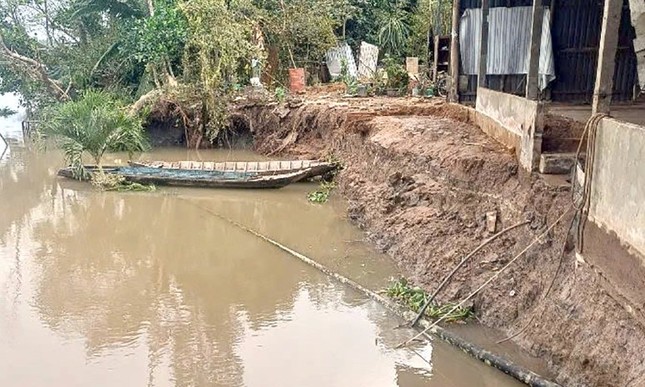 Liên tiếp xảy ra sạt lở tại Hậu Giang ảnh 2