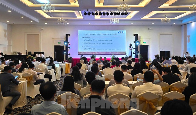 &apos;Cảnh báo&apos; với doanh nghiệp Đồng bằng sông Cửu Long ảnh 2