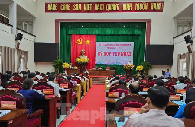 Vĩnh Long có 5 nữ giám đốc sở sau hợp nhất ảnh 1