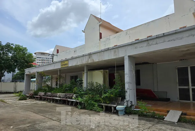 Nhà ở công vụ cho cán bộ Cần Thơ sau sáp nhập: Phải 1 năm nữa mới có nhà ảnh 11