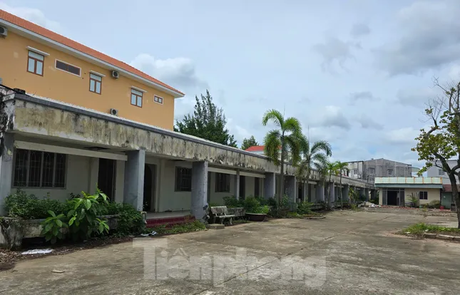 Nhà ở công vụ cho cán bộ Cần Thơ sau sáp nhập: Phải 1 năm nữa mới có nhà ảnh 6