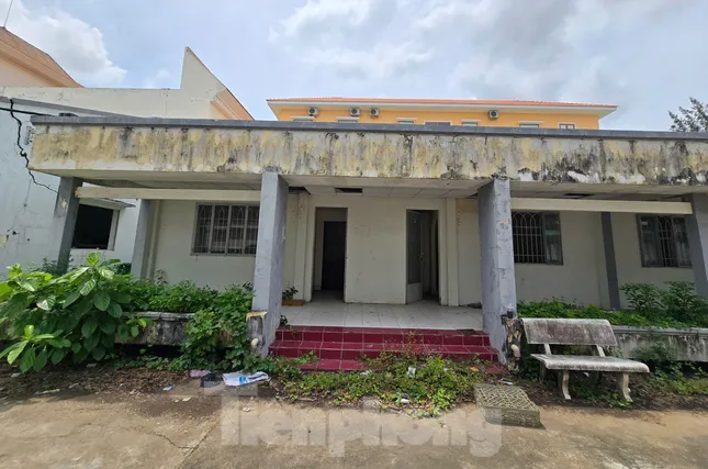 Nhà ở công vụ cho cán bộ Cần Thơ sau sáp nhập: Phải 1 năm nữa mới có nhà ảnh 7