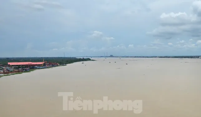 Hơn 4.000 tỷ đồng làm đê bao, kè sông Măng Thít, sông Hậu ảnh 1