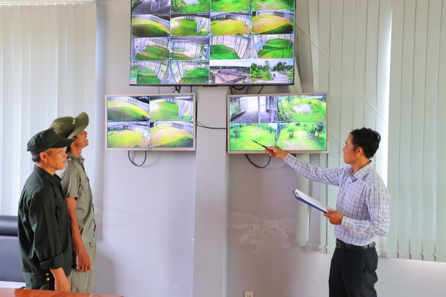 Đồng Tháp lắp camera giám sát sếu đầu đỏ ảnh 1