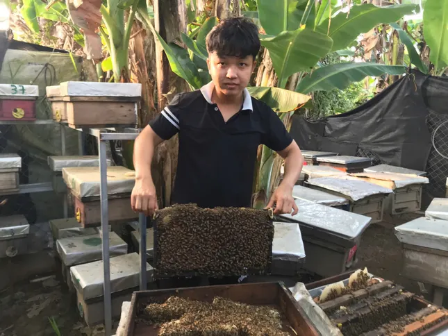 Nam sinh Cần Thơ khởi nghiệp từ ong chúa ảnh 1
