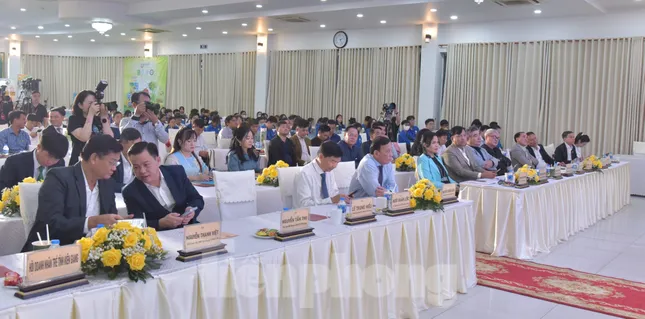 ‘Thời cơ vàng’ để kinh tế tư nhân trở thành trụ cột kinh tế quốc gia ảnh 3