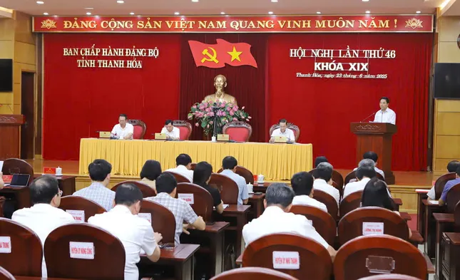 Thanh Hóa kết thúc hoạt động 26 Đảng bộ cấp huyện ảnh 1