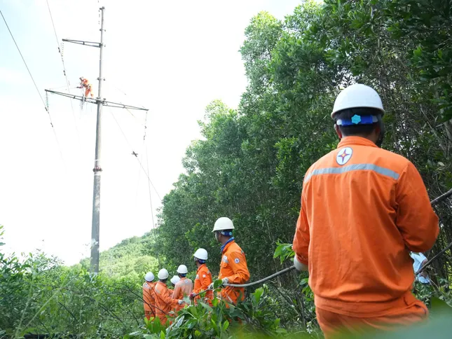 Thanh Hóa: Khai thác cây keo bị đổ vào đường dây gây cháy, chập điện ảnh 3