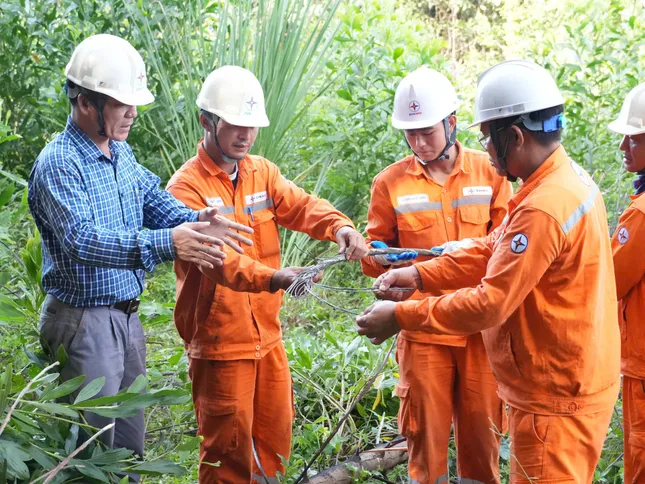 Thanh Hóa: Khai thác cây keo bị đổ vào đường dây gây cháy, chập điện ảnh 2