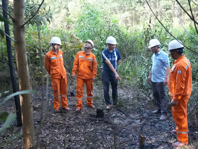 Thanh Hóa: Khai thác cây keo bị đổ vào đường dây gây cháy, chập điện ảnh 1