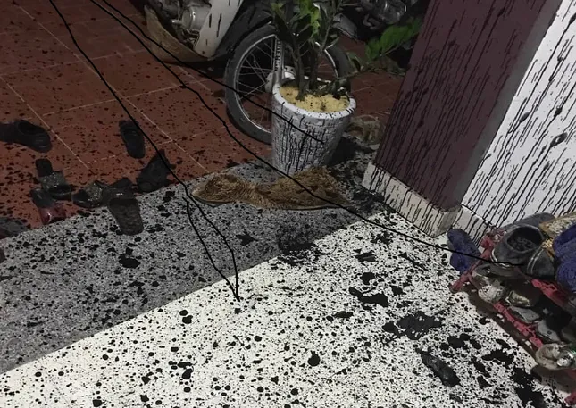 Tin mới vụ nữ giám đốc tố bị côn đồ nổ súng truy sát ảnh 1