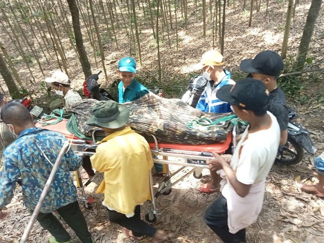 Ngủ qua đêm trong rừng, người đàn ông tử vong trên võng ảnh 2