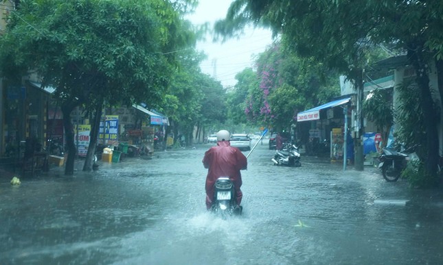 Quảng Bình: Đường phố biến thành &apos;sông&apos;, đồng lúa đổ rạp do mưa lớn ảnh 1
