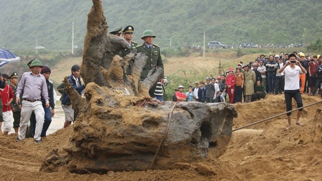 Phát hiện cây sưa ‘khủng’ dưới suối thuộc vùng đệm Phong Nha-Kẻ Bàng, dân lén lút khai quật trong đêm ảnh 4