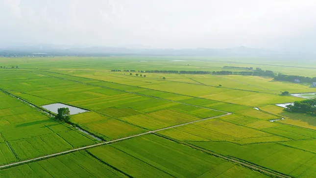 Quảng Bình, Quảng Trị: Cán bộ luân chuyển về huyện phải ở lại để làm lãnh đạo chủ chốt cấp xã ảnh 2