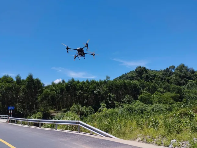 Quảng Bình dùng máy bay không người lái đối phó với nạn châu chấu hoành hành ảnh 3