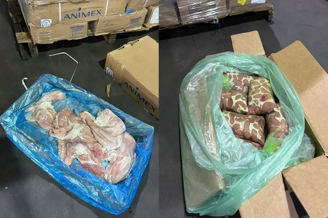 Phát hiện gần 70 tấn nội tạng, thịt động vật không có giấy chứng nhận kiểm dịch ở TPHCM ảnh 2