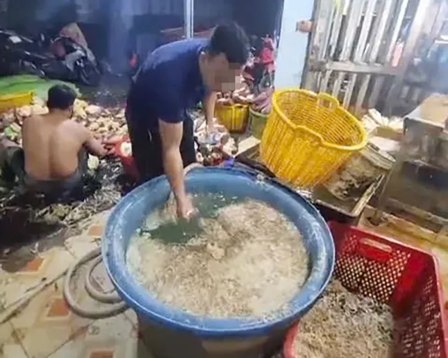 Phát hiện 3 cơ sở ở TPHCM dùng hóa chất để tẩy trắng bắp chuối- Ảnh 1.