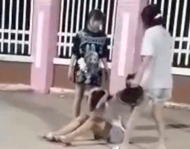 Nữ sinh bị đánh hội đồng trước cổng trường ảnh 1