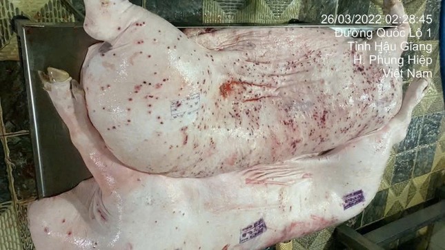 Sóc Trăng đề nghị Hậu Giang phối hợp xác minh vụ tố C.P. &apos;tuồn thịt bẩn&apos; ra thị trường ảnh 1