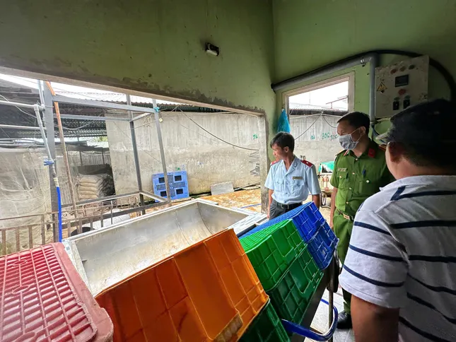 Vụ thịt bẩn C.P: Hình ảnh bất thường là thật, nhưng không bán ra thị trường? ảnh 1