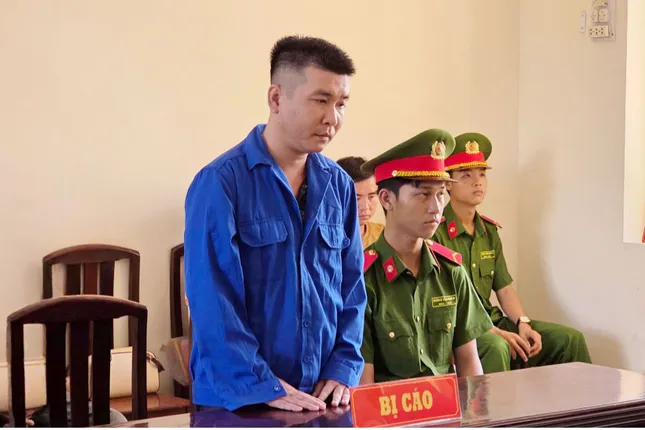 Chiếm đoạt hơn nửa tỷ đồng tiền đặt cọc, một &apos;cò&apos; lúa lĩnh 5 năm tù ảnh 1
