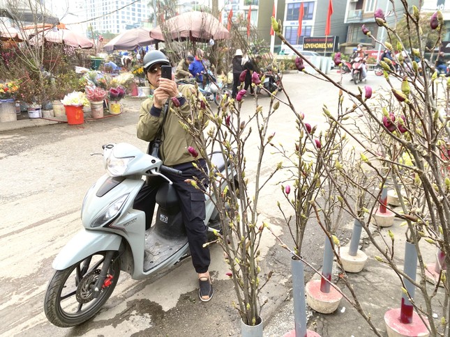 Xuất hiện loài hoa 'cạnh tranh' với đào, quất Tết năm nay ảnh 6