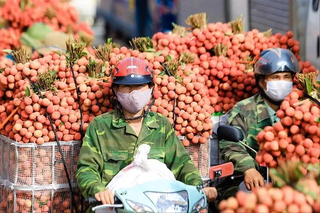 Nông sản Việt đang ở đâu? ảnh 1