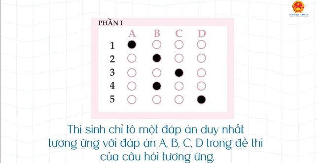 Thi tốt nghiệp THPT 2025: Cách tô phiếu làm bài chuẩn xác, tránh mất điểm oan ảnh 4