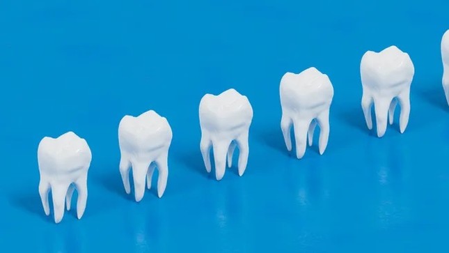 Cấy ghép răng bằng tế bào gốc: Chấm dứt trám răng, đau đớn khi điều trị tủy ảnh 1