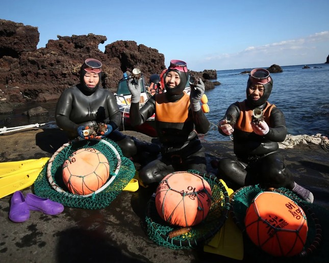Vì sao phụ nữ ở đảo Jeju có thể lặn sâu dưới biển mà không cần thiết bị thở? ảnh 1