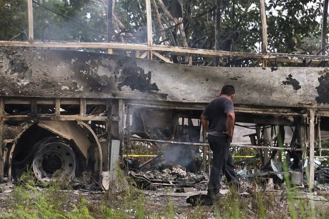 Mexico: Va chạm xe bus và xe tải, 41 người thiệt mạng- Ảnh 2.