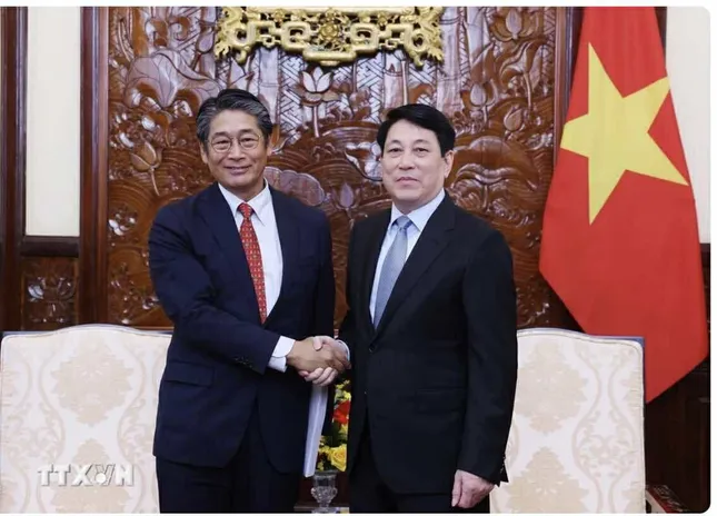 Chủ tịch nước Lương Cường tiếp Đại sứ Nhật Bản tại Việt Nam ảnh 1