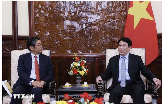 Chủ tịch nước Lương Cường tiếp Đại sứ Nhật Bản tại Việt Nam ảnh 2
