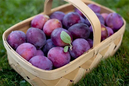 Điều cần tránh khi ăn mận ảnh 1